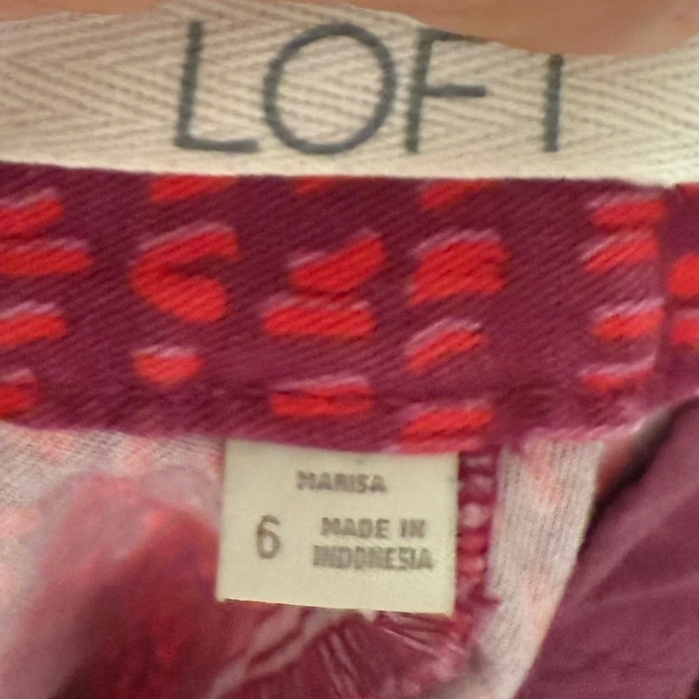 Anne Taylor Loft Marisa Vibrant Pink and Red Patterned Pants zipper slits size 6